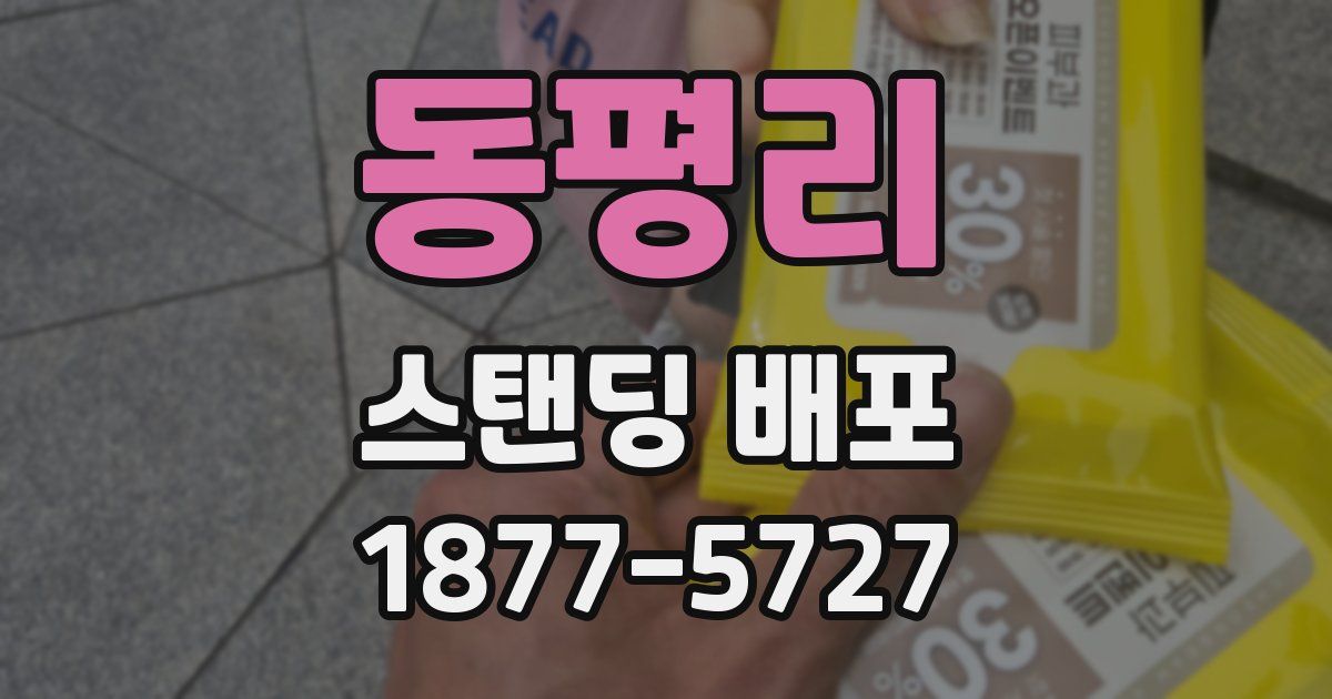 동평리 스탠딩 배포