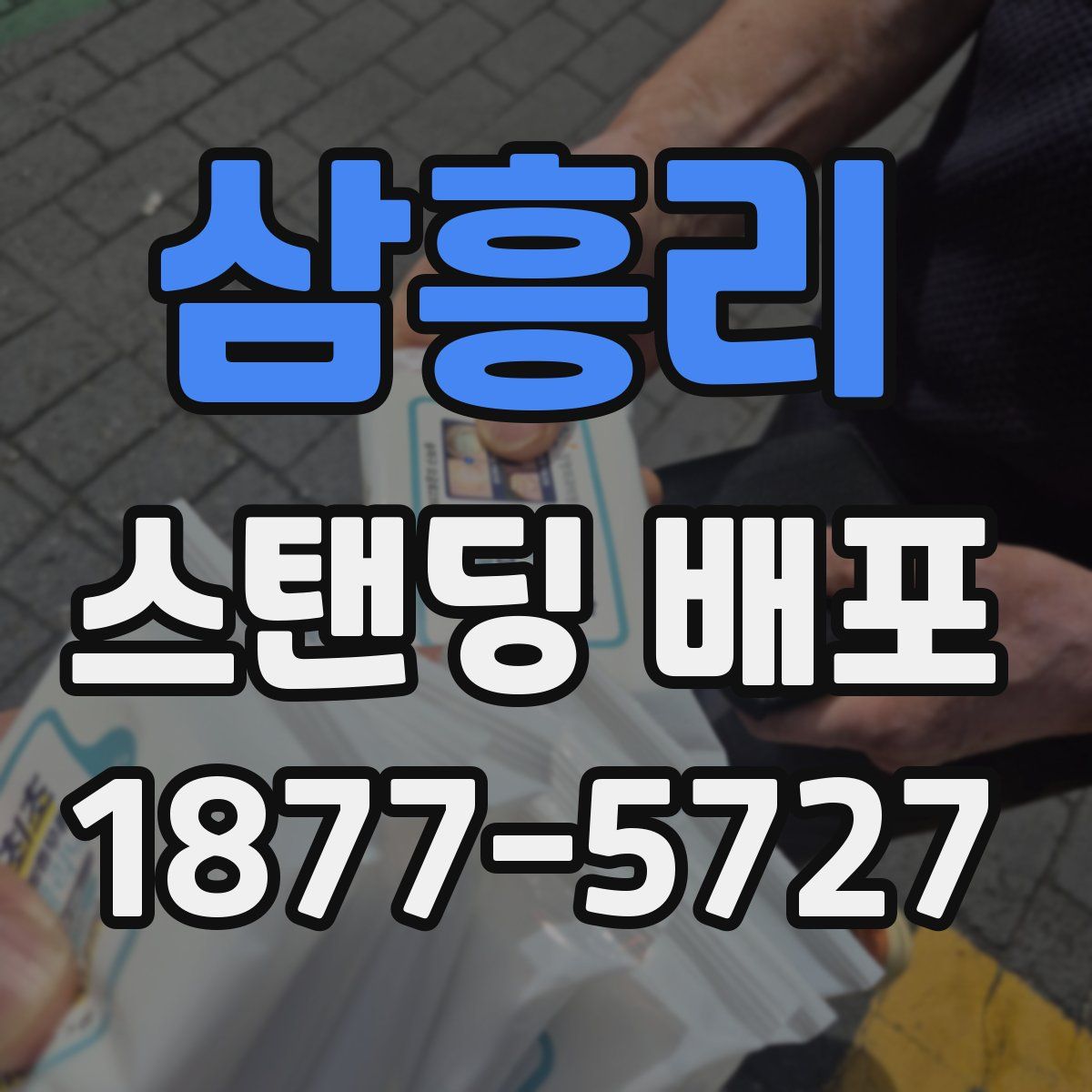 삼흥리 스탠딩 배포