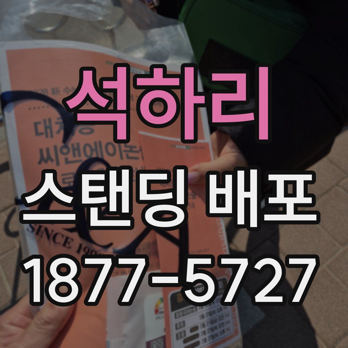 석하리 스탠딩 배포