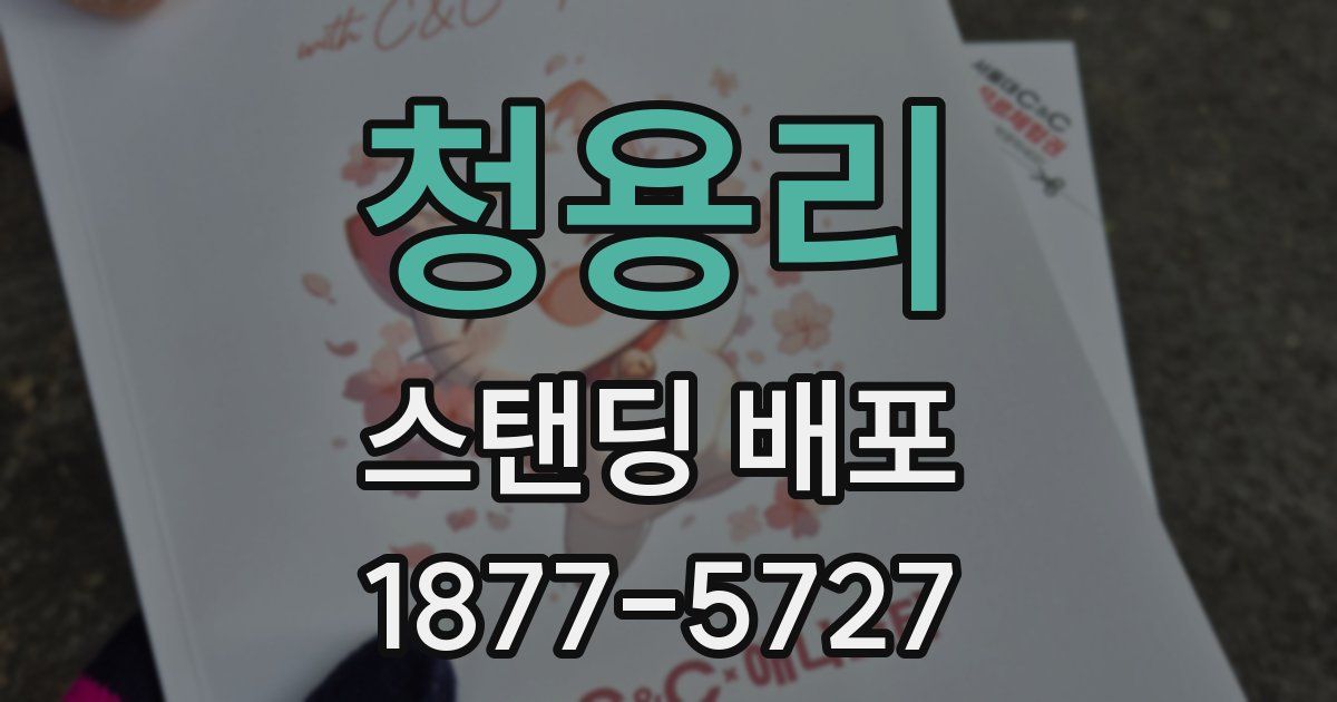 청용리 스탠딩 배포
