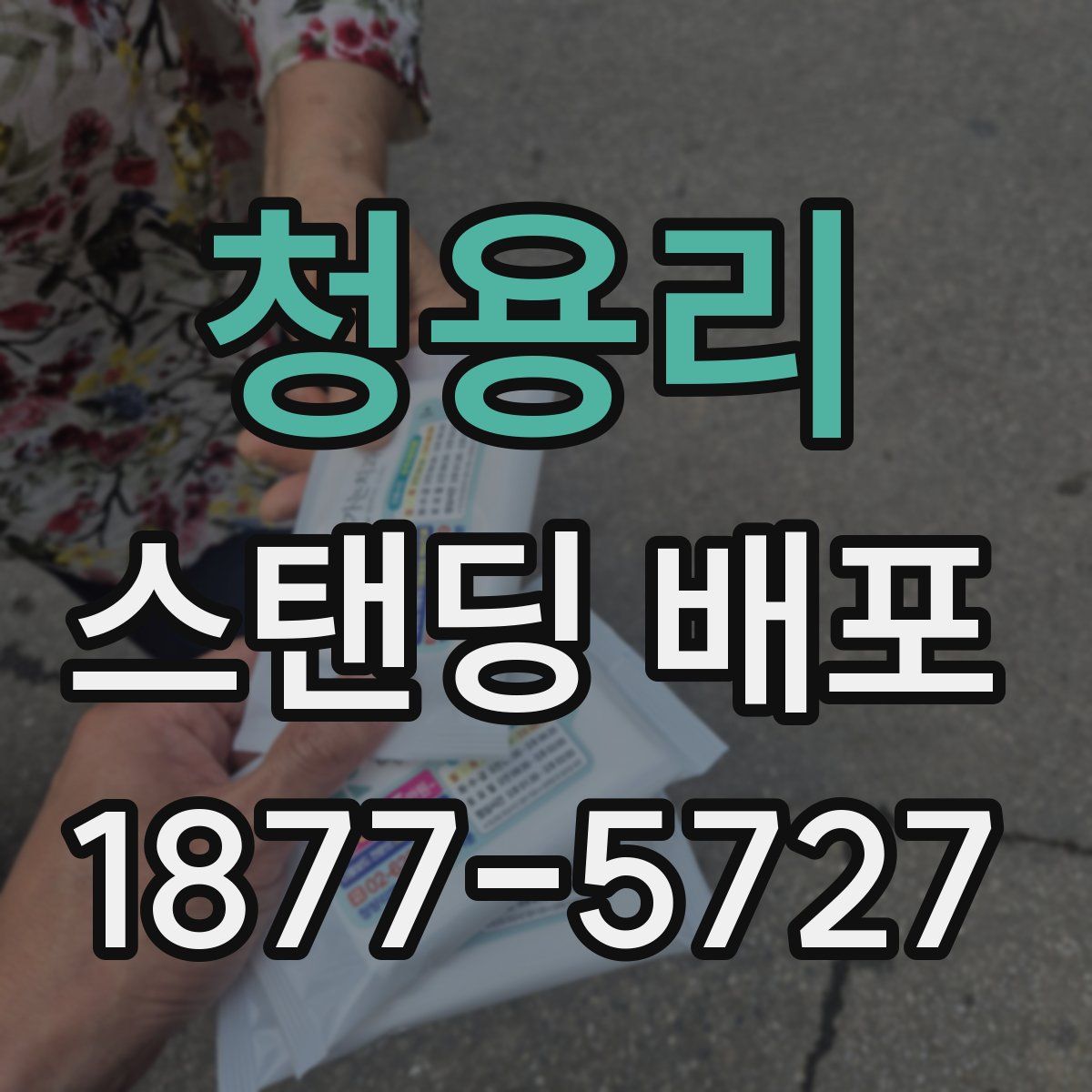 청용리 스탠딩 배포