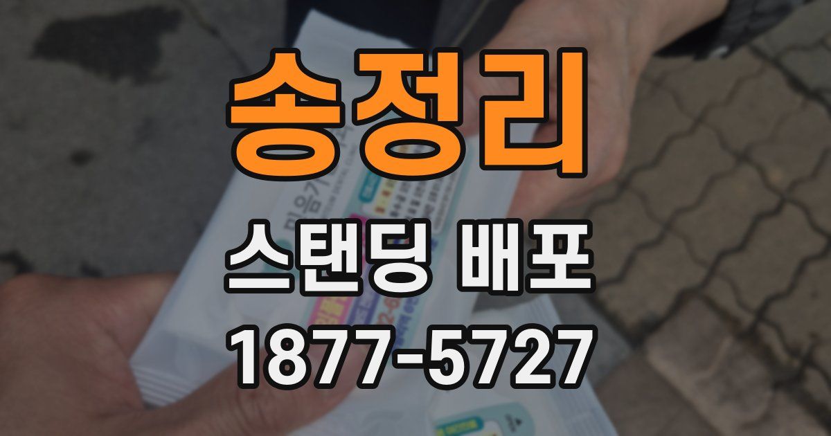 송정리 스탠딩 배포