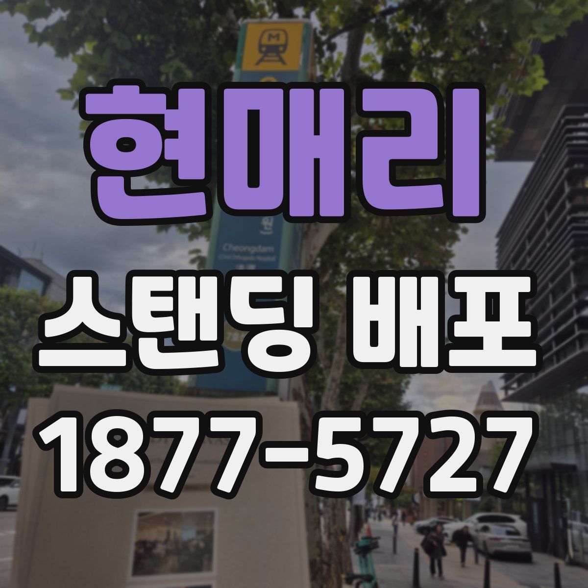 현매리 스탠딩 배포