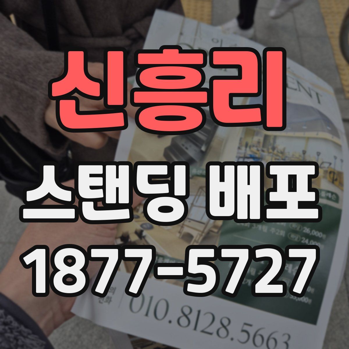 신흥리 스탠딩 배포