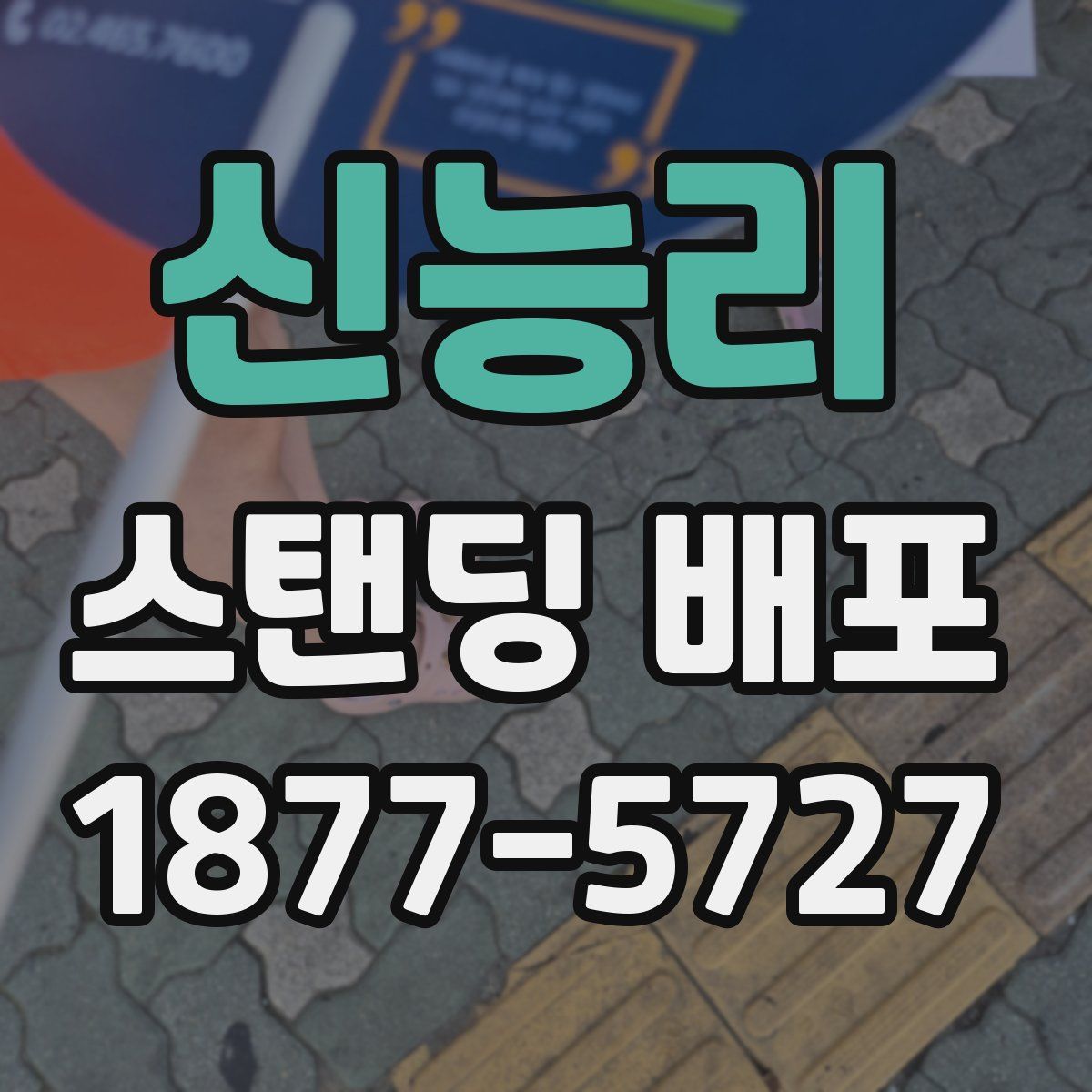 신능리 스탠딩 배포