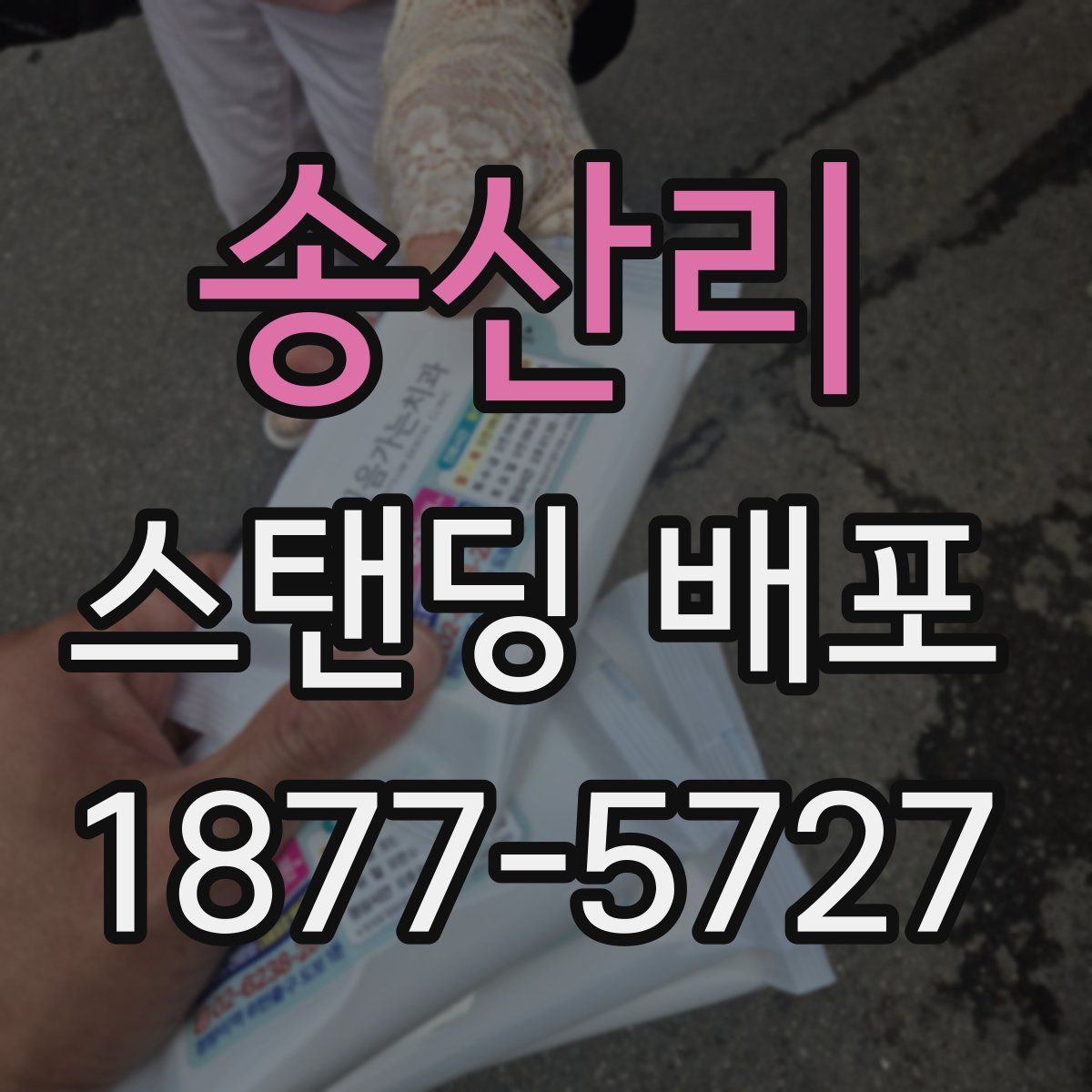 송산리 스탠딩 배포