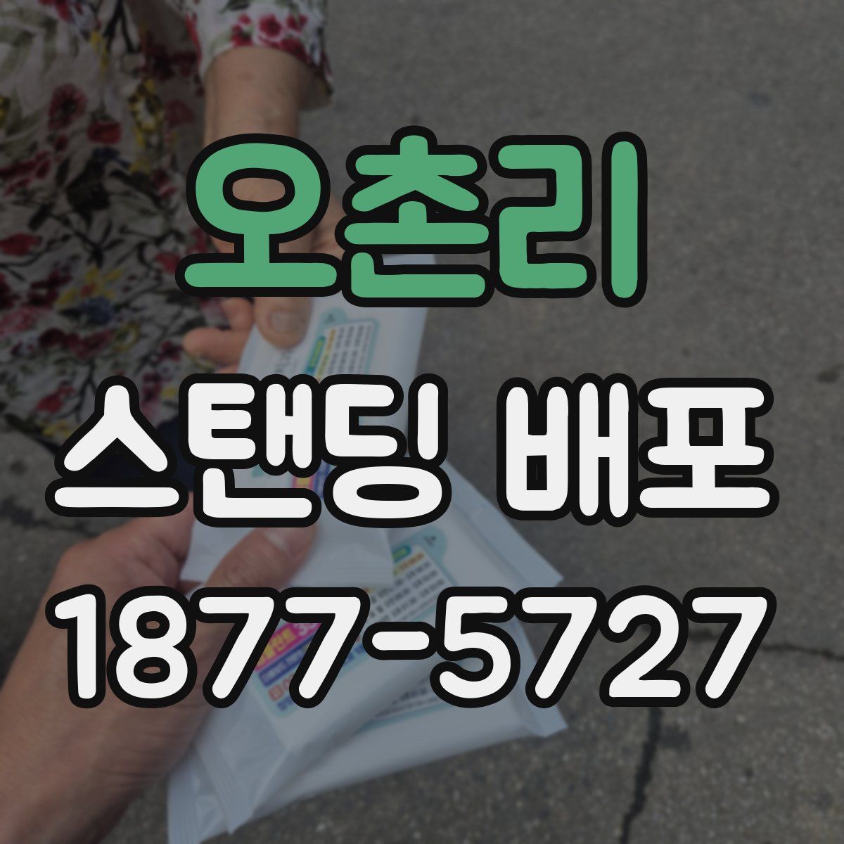 오촌리 스탠딩 배포