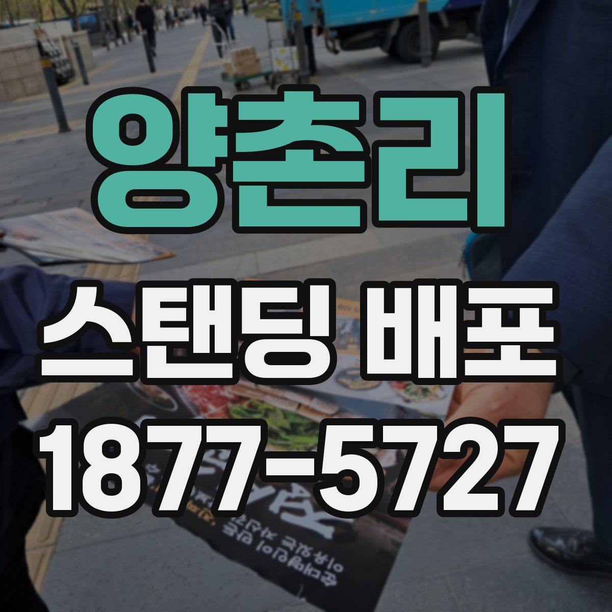 양촌리 스탠딩 배포