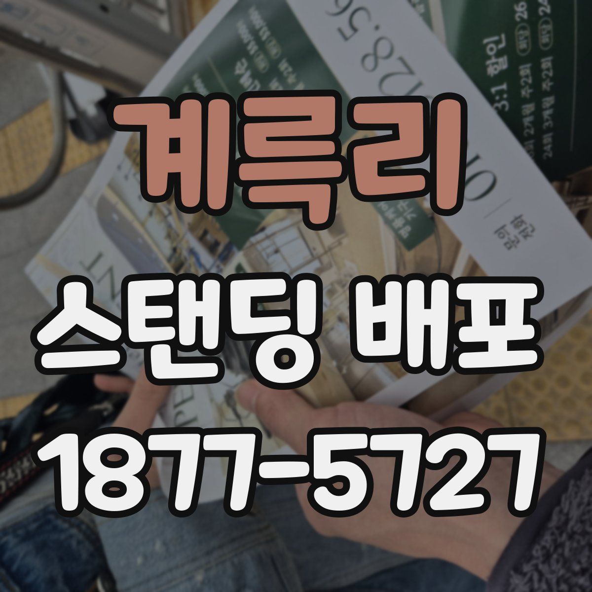 계륵리 스탠딩 배포
