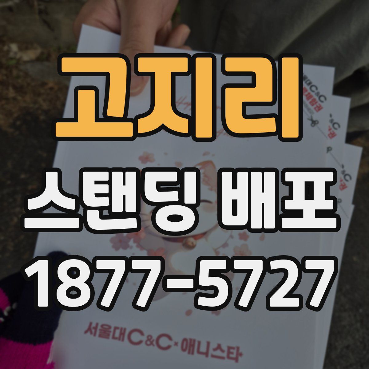 고지리 스탠딩 배포