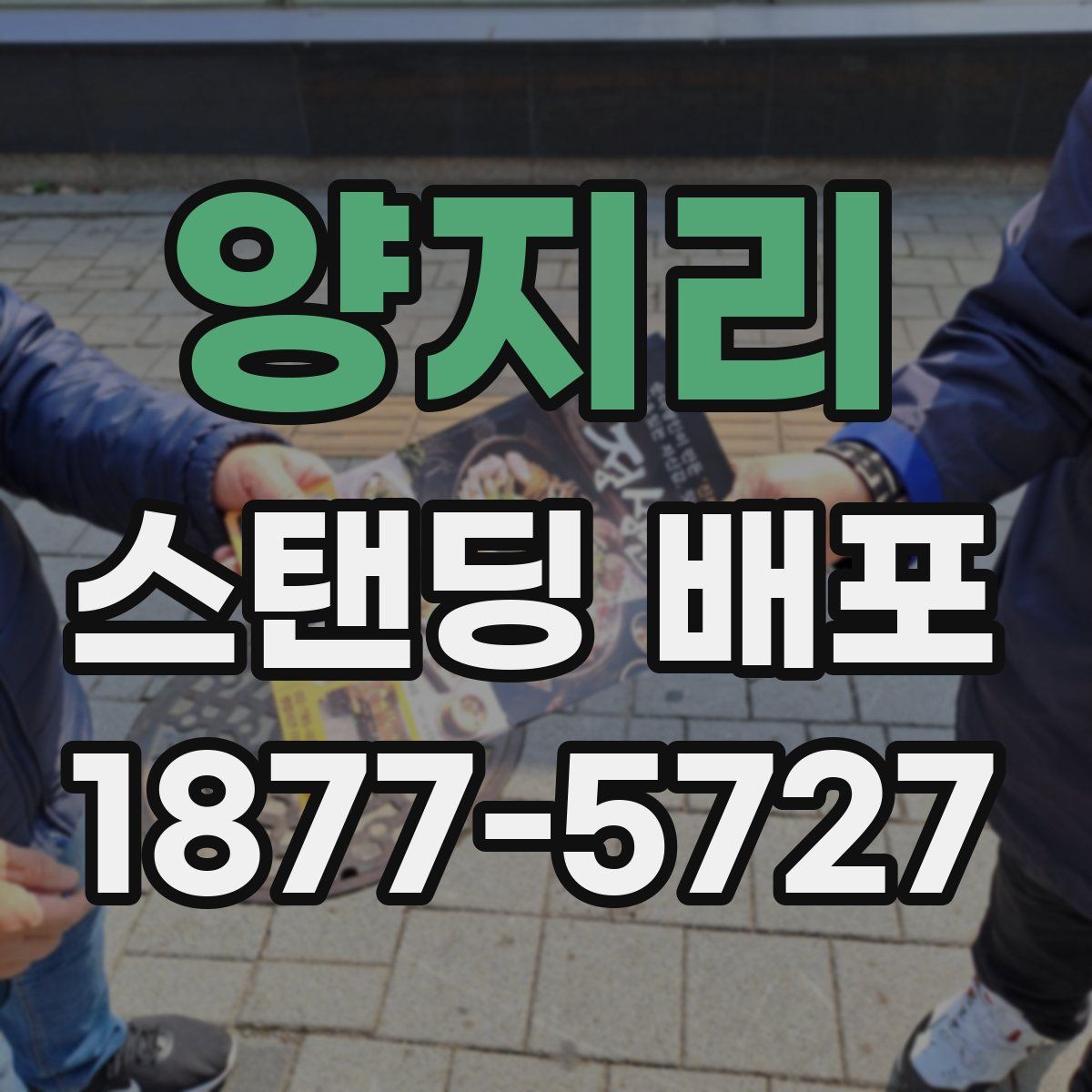 양지리 스탠딩 배포