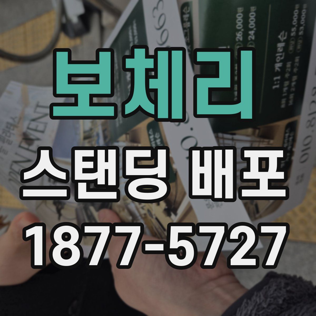 보체리 스탠딩 배포