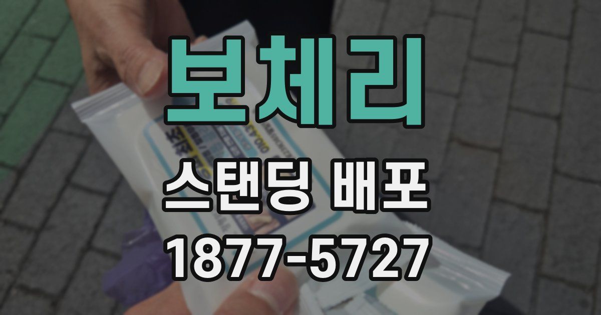 보체리 스탠딩 배포