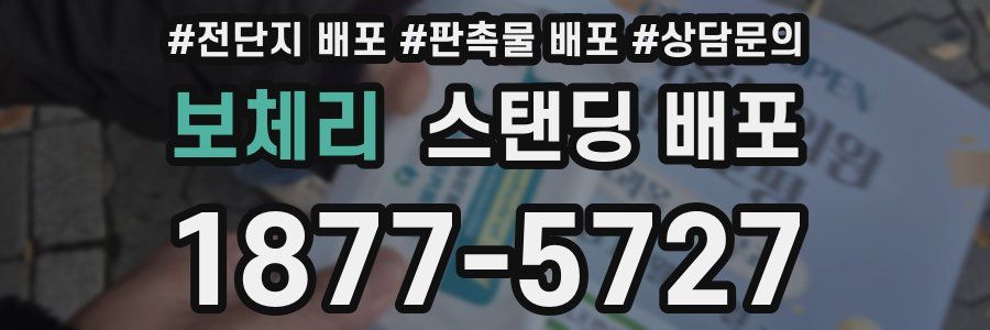 보체리 스탠딩 배포