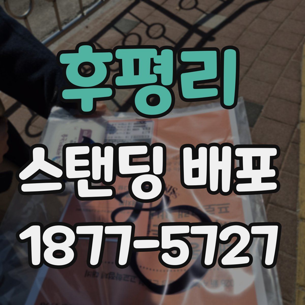후평리 스탠딩 배포