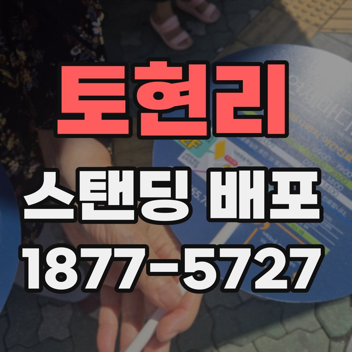 토현리 스탠딩 배포