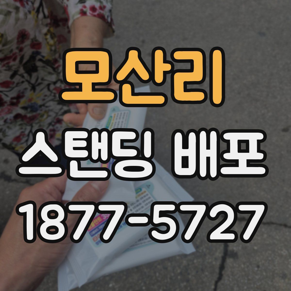 모산리 스탠딩 배포