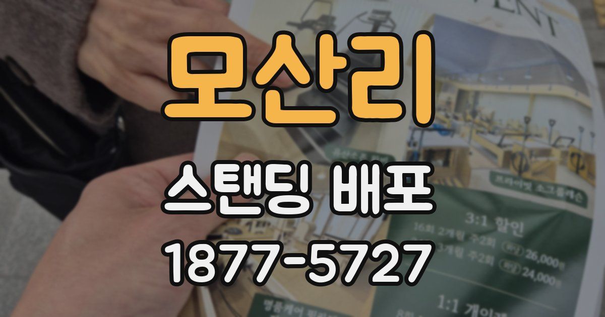 모산리 스탠딩 배포
