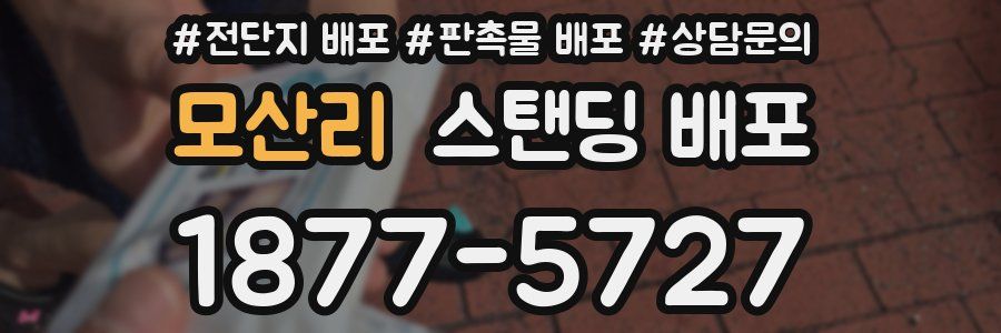 모산리 스탠딩 배포
