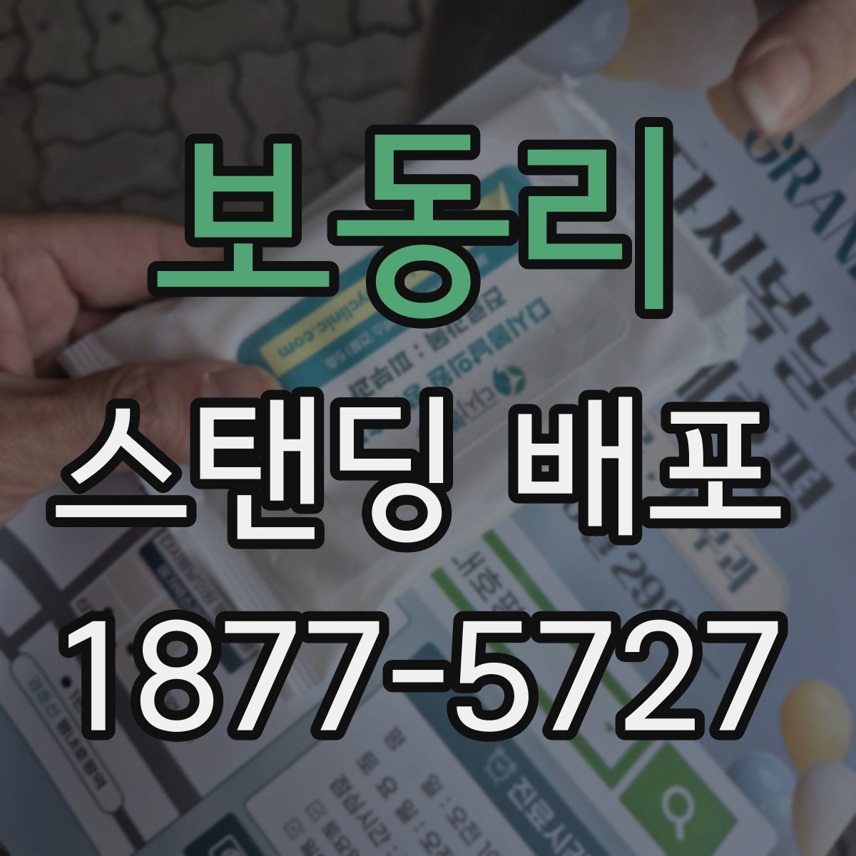 보동리 스탠딩 배포
