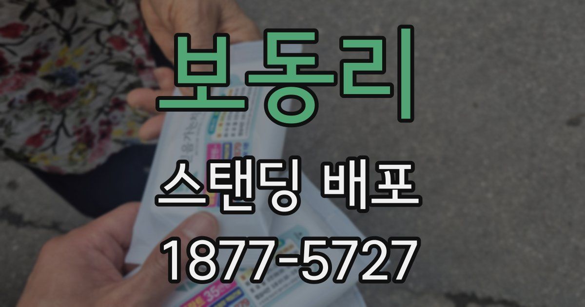 보동리 스탠딩 배포