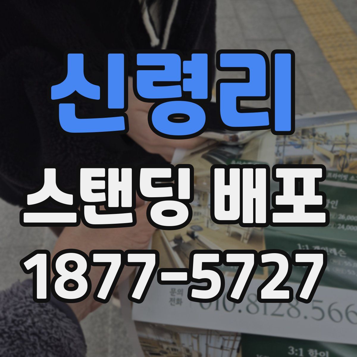 신령리 스탠딩 배포