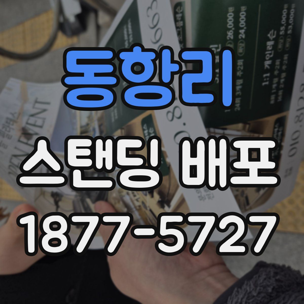 동항리 스탠딩 배포