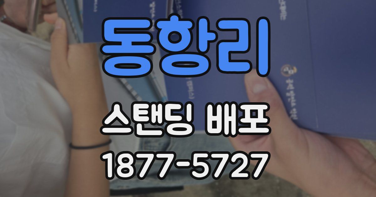 동항리 스탠딩 배포