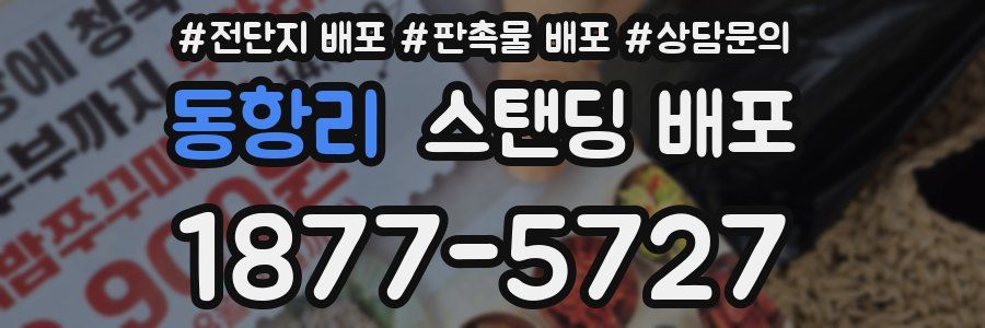 동항리 스탠딩 배포