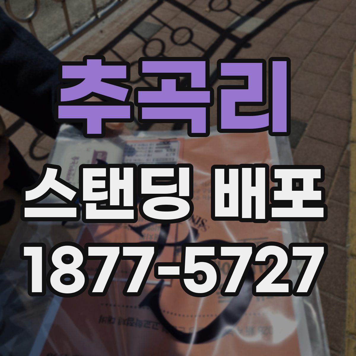 추곡리 스탠딩 배포