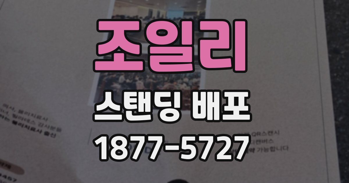 조일리 스탠딩 배포