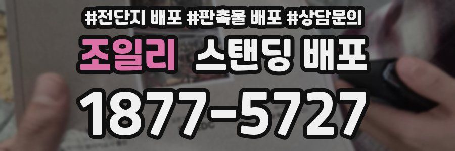 조일리 스탠딩 배포
