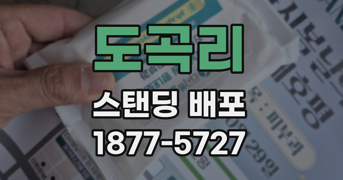 도곡리 스탠딩 배포