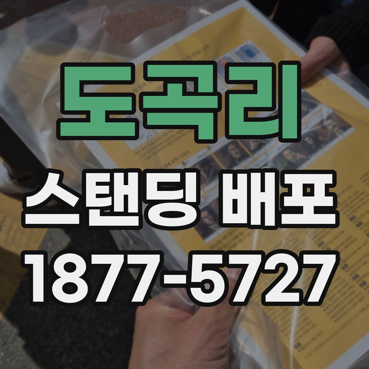 도곡리 스탠딩 배포