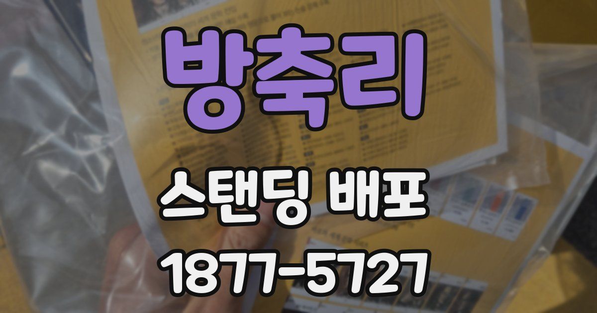 방축리 스탠딩 배포