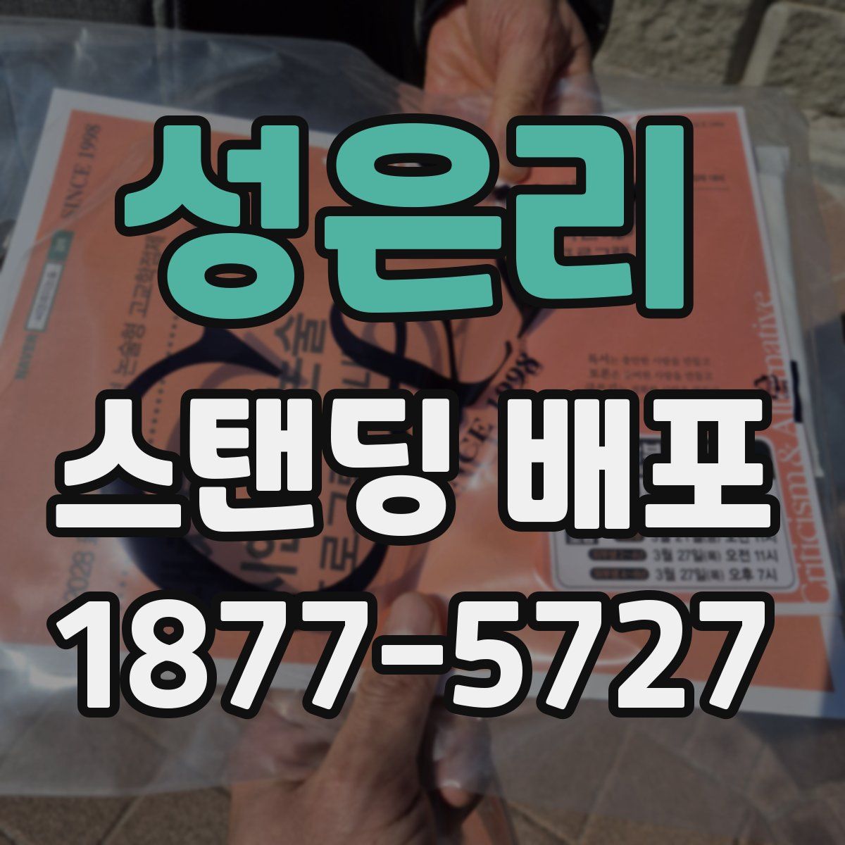 성은리 스탠딩 배포