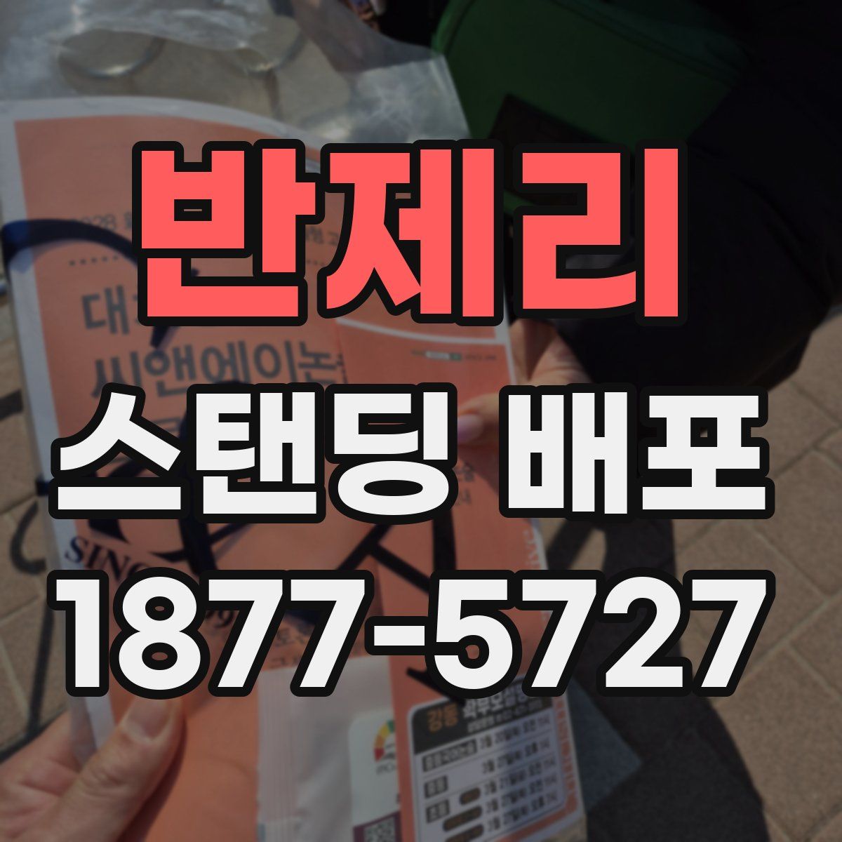 반제리 스탠딩 배포