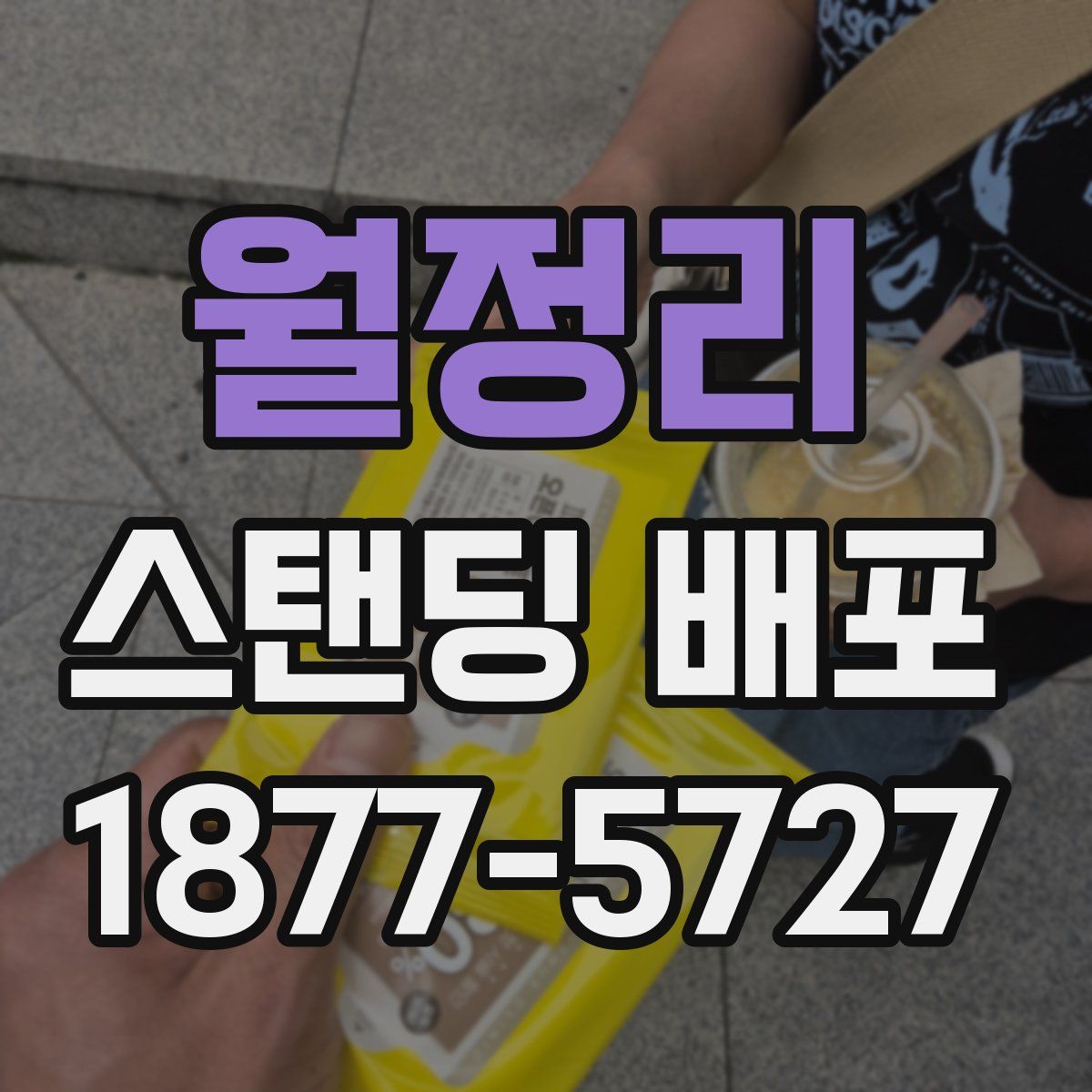 월정리 스탠딩 배포