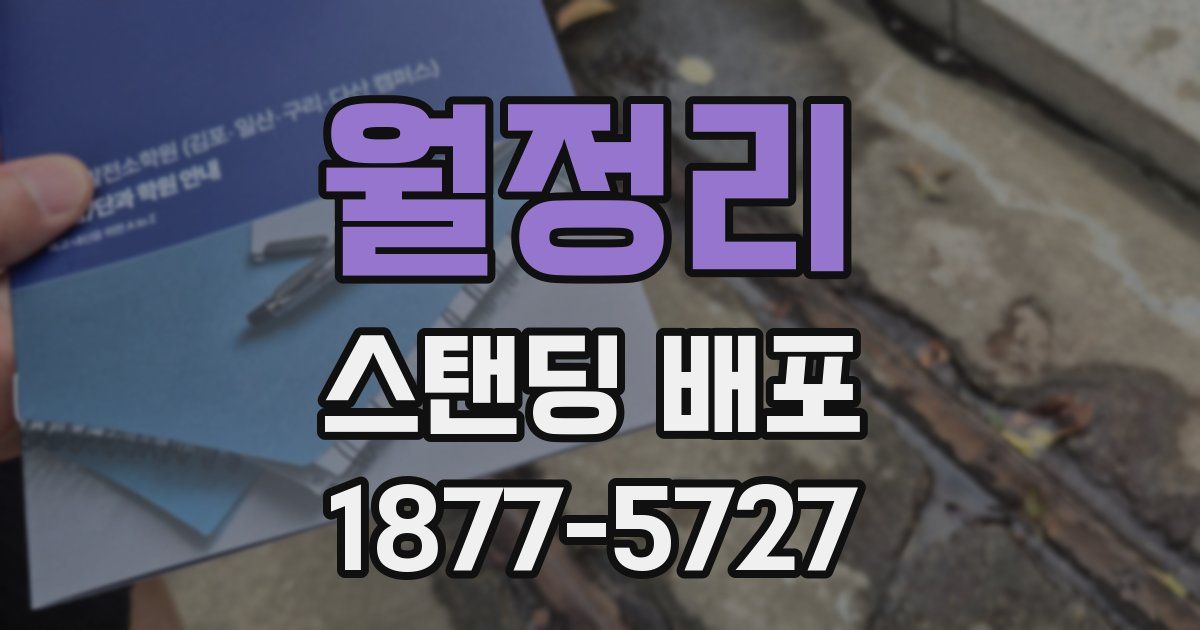 월정리 스탠딩 배포