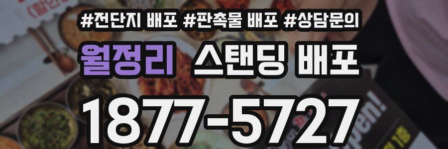 월정리 스탠딩 배포