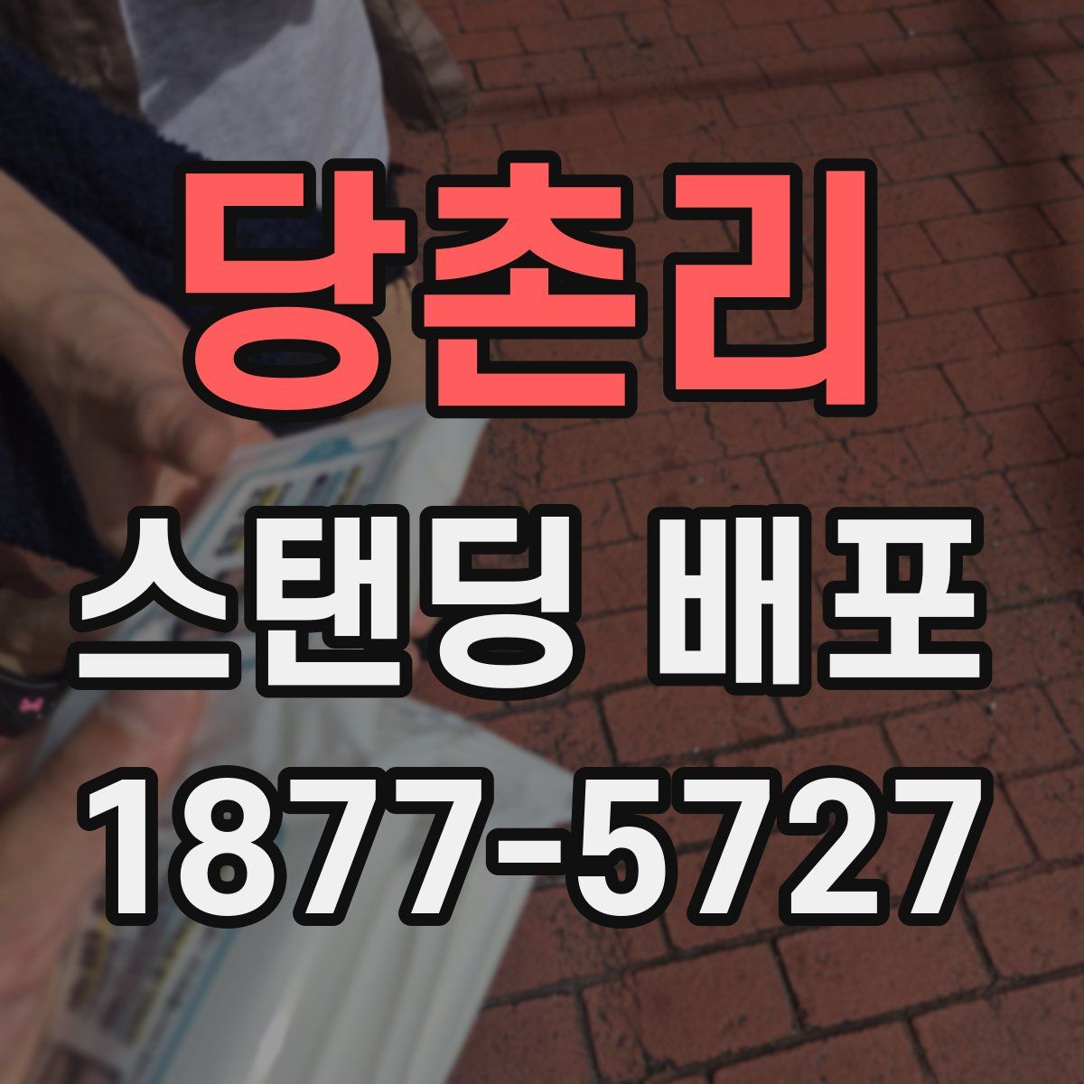 당촌리 스탠딩 배포