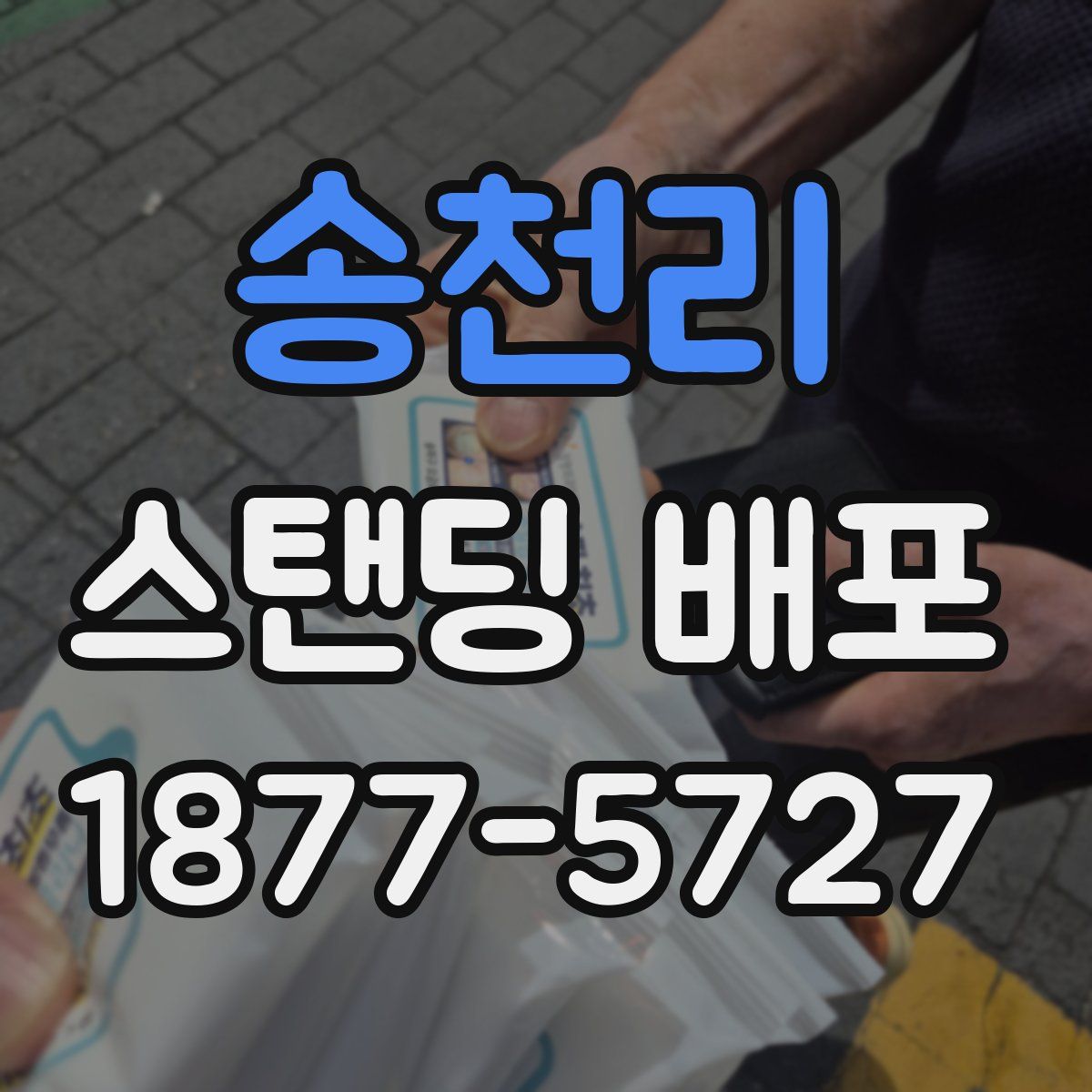 송천리 스탠딩 배포