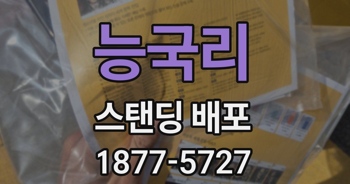능국리 스탠딩 배포