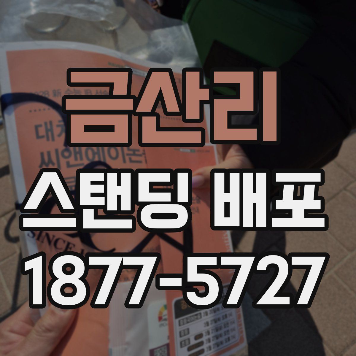 금산리 스탠딩 배포