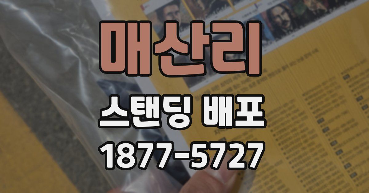 매산리 스탠딩 배포