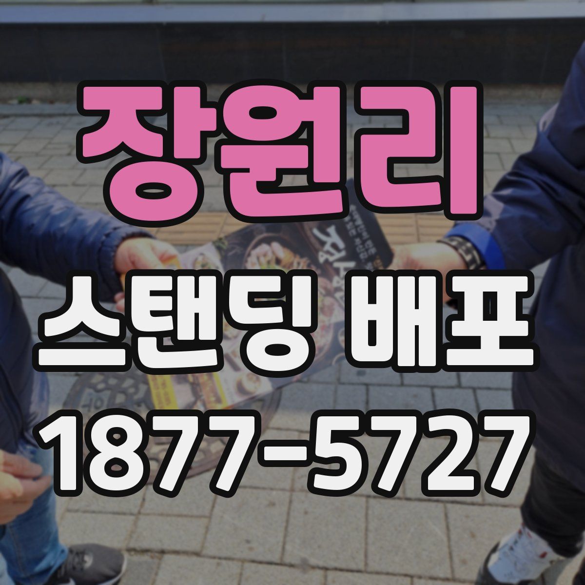 장원리 스탠딩 배포