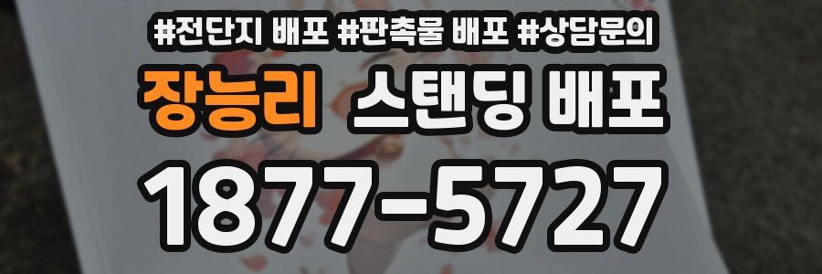 장능리 스탠딩 배포