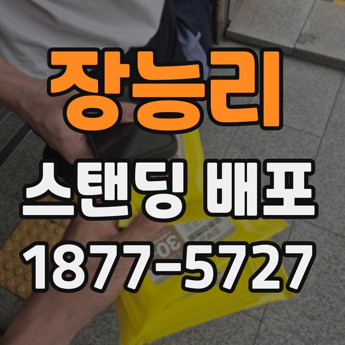 장능리 스탠딩 배포