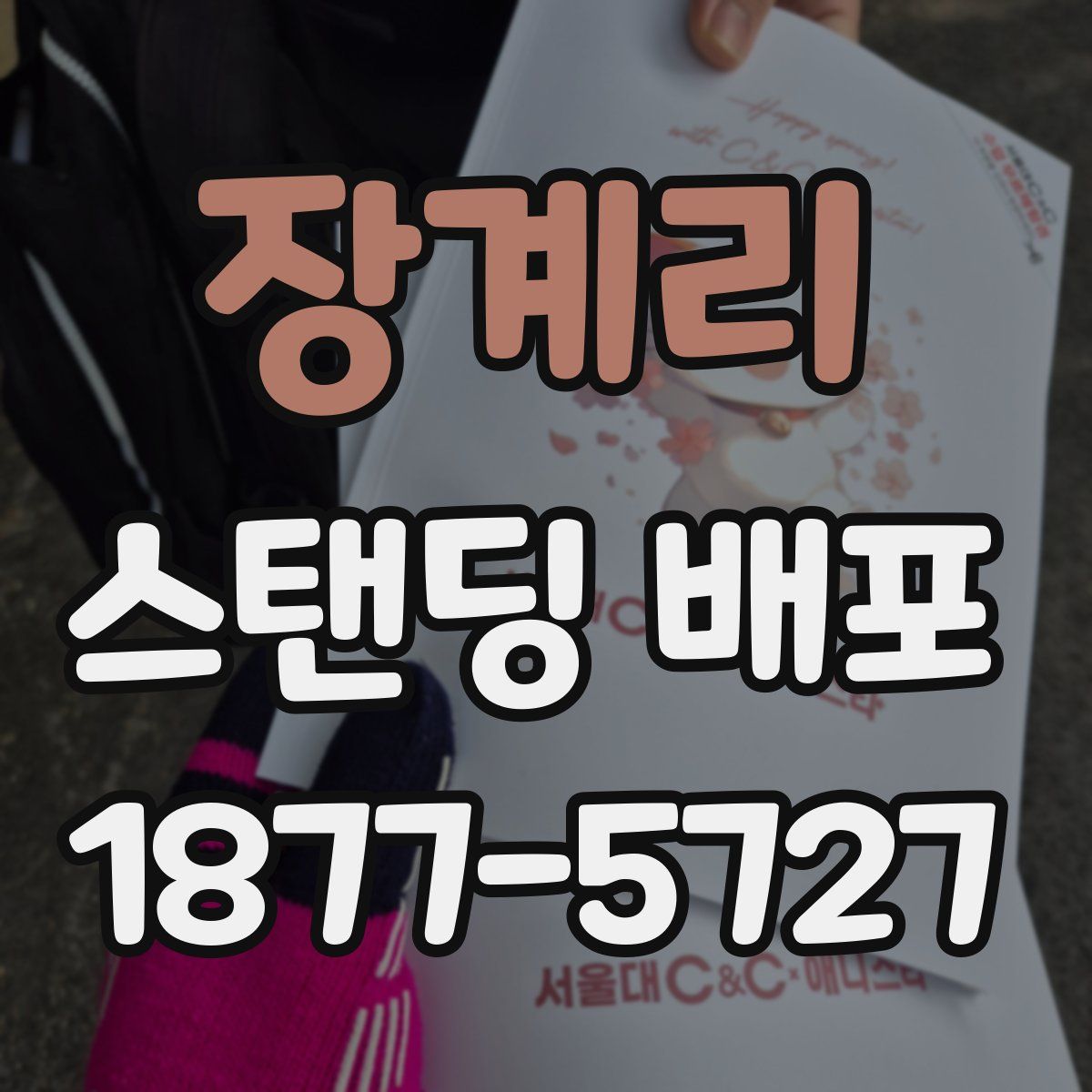 장계리 스탠딩 배포
