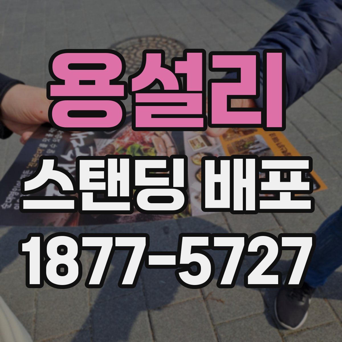 용설리 스탠딩 배포